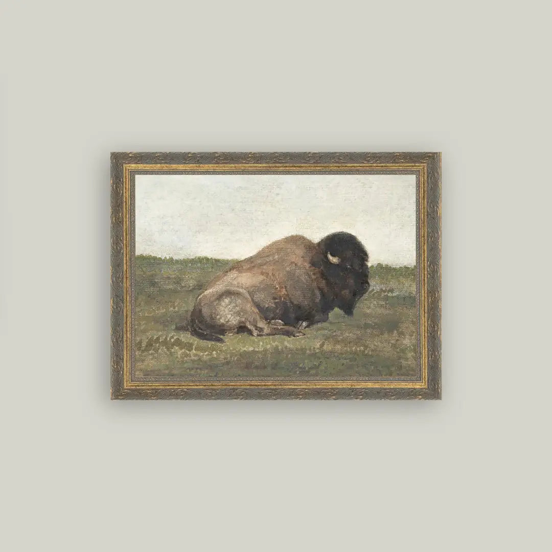 Resting Bison Framed Art - 2 Sizes