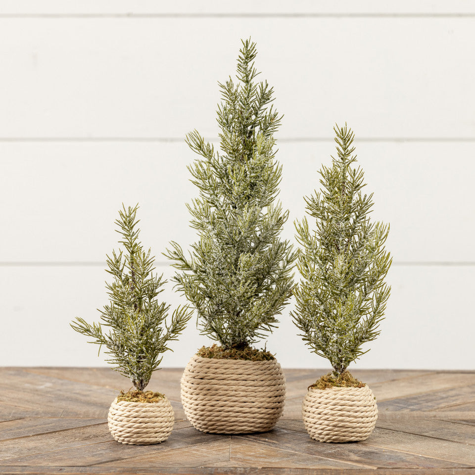 Snowy Tree in Rope Pot - 3 Sizes