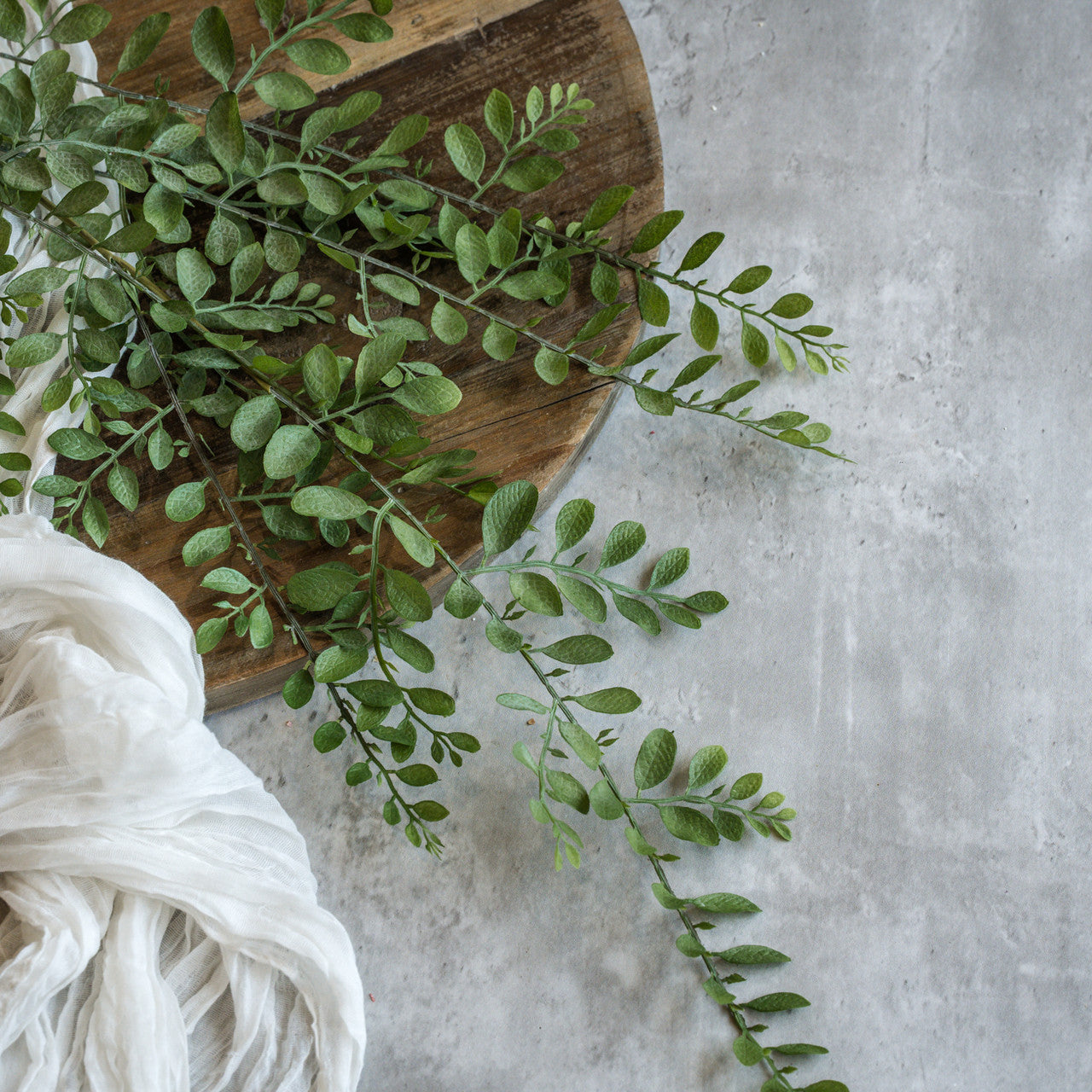Ruscus Leaf Vine