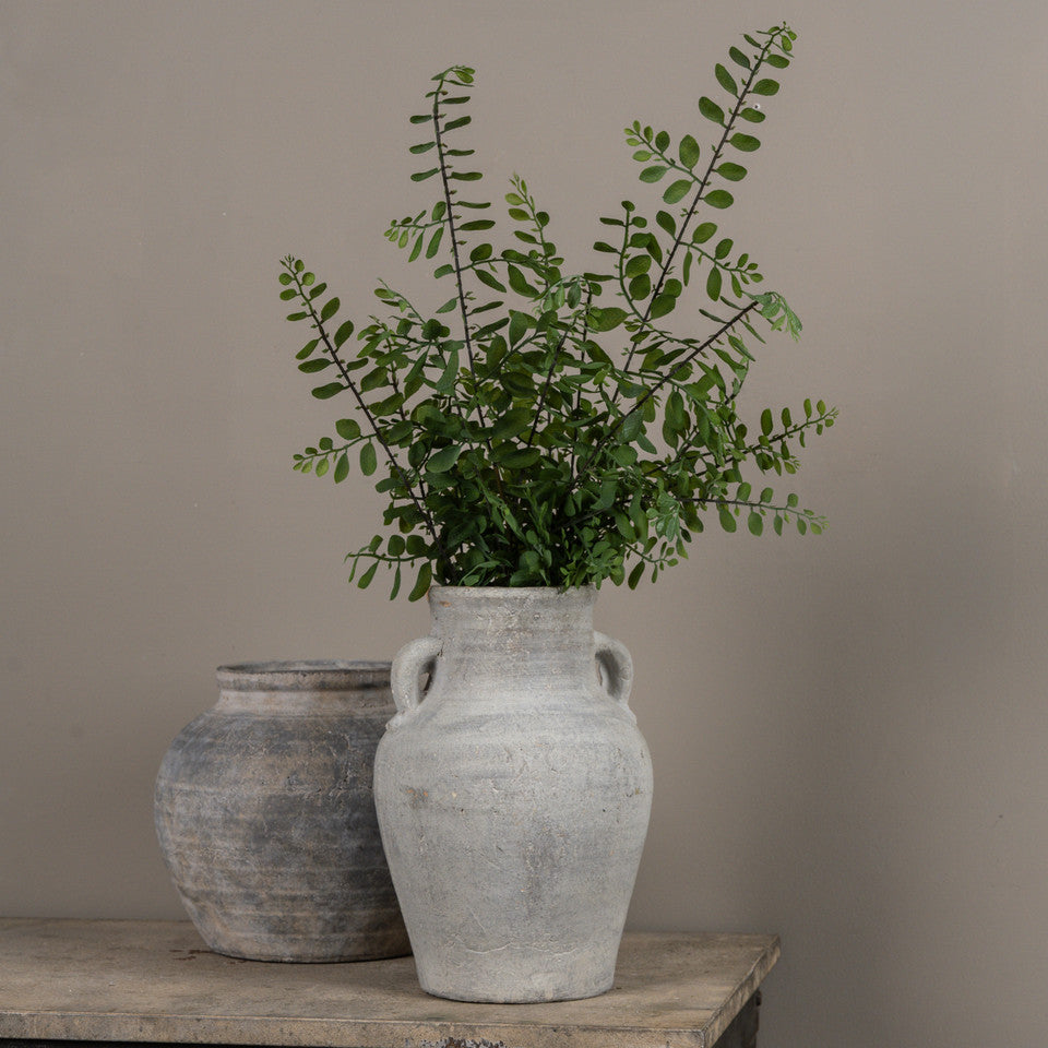 Ruscus Leaf Vine