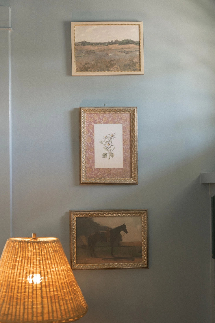 Saddled Horse Framed Artwork - 2 Sizes