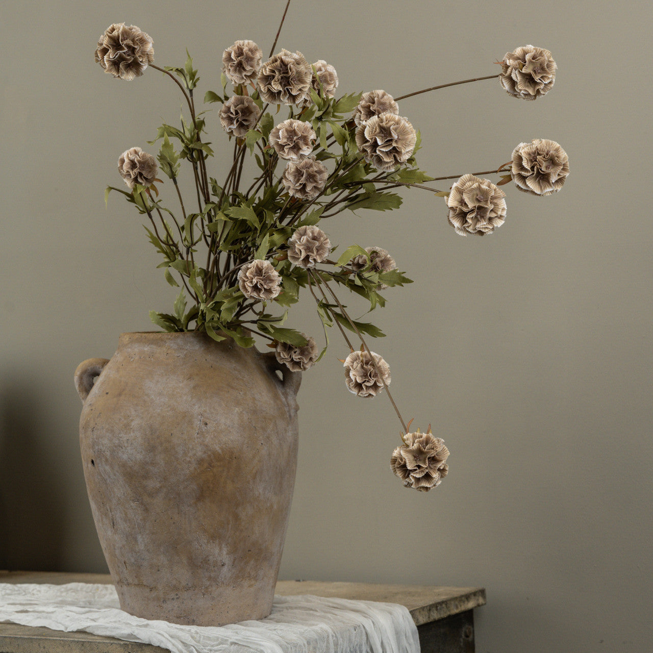 Tan Scabiosa Stem
