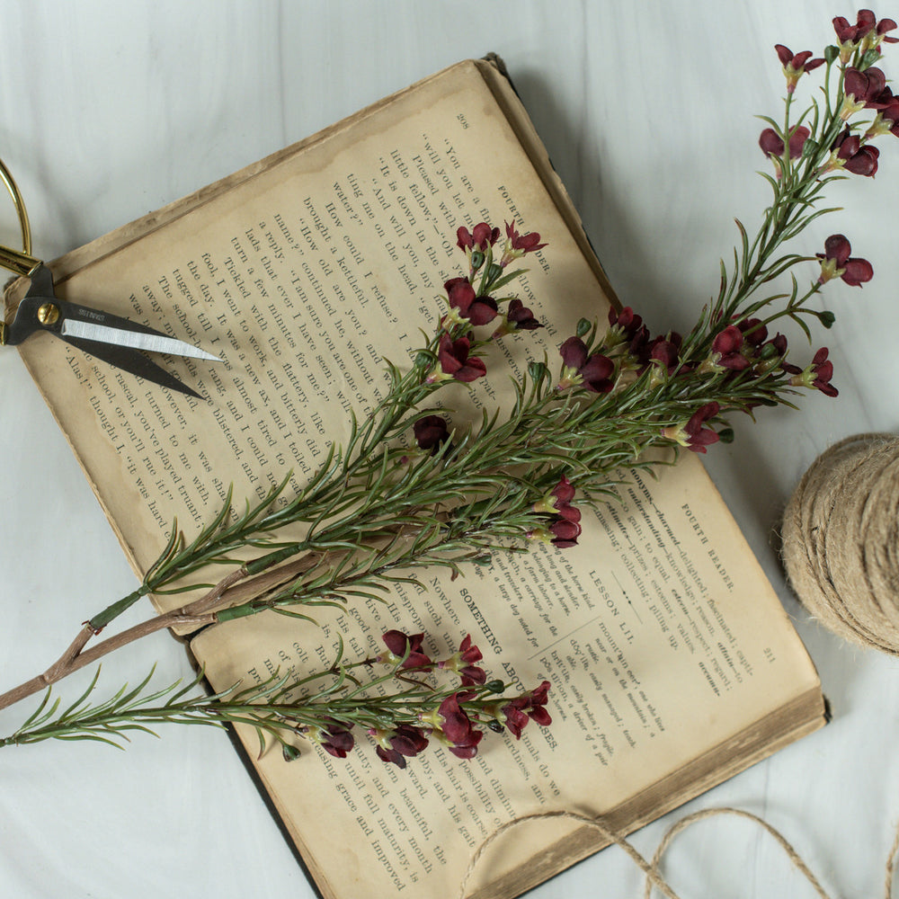 Scarlet Red Waxflower Spray