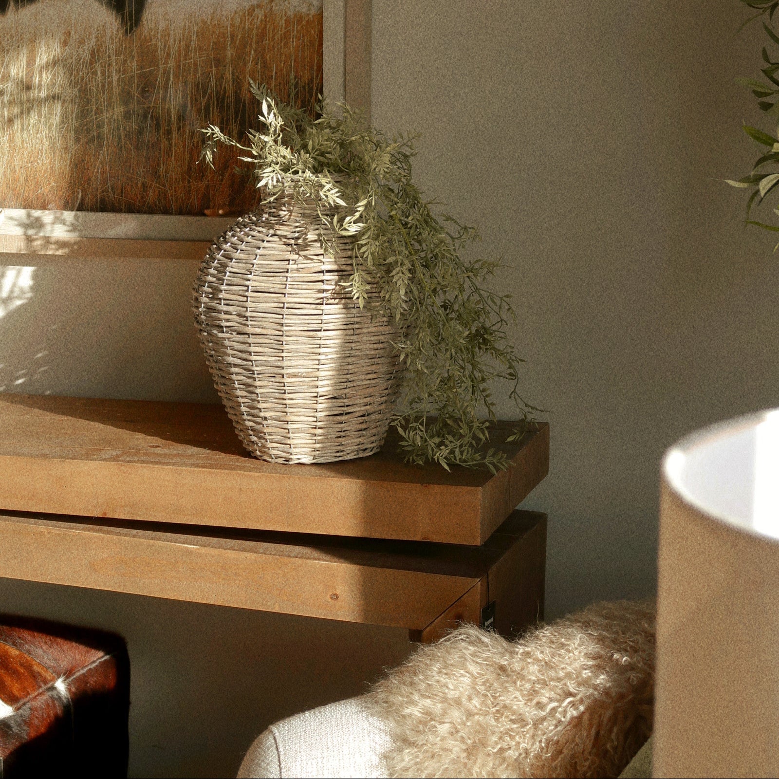 Draping Ficus Bush