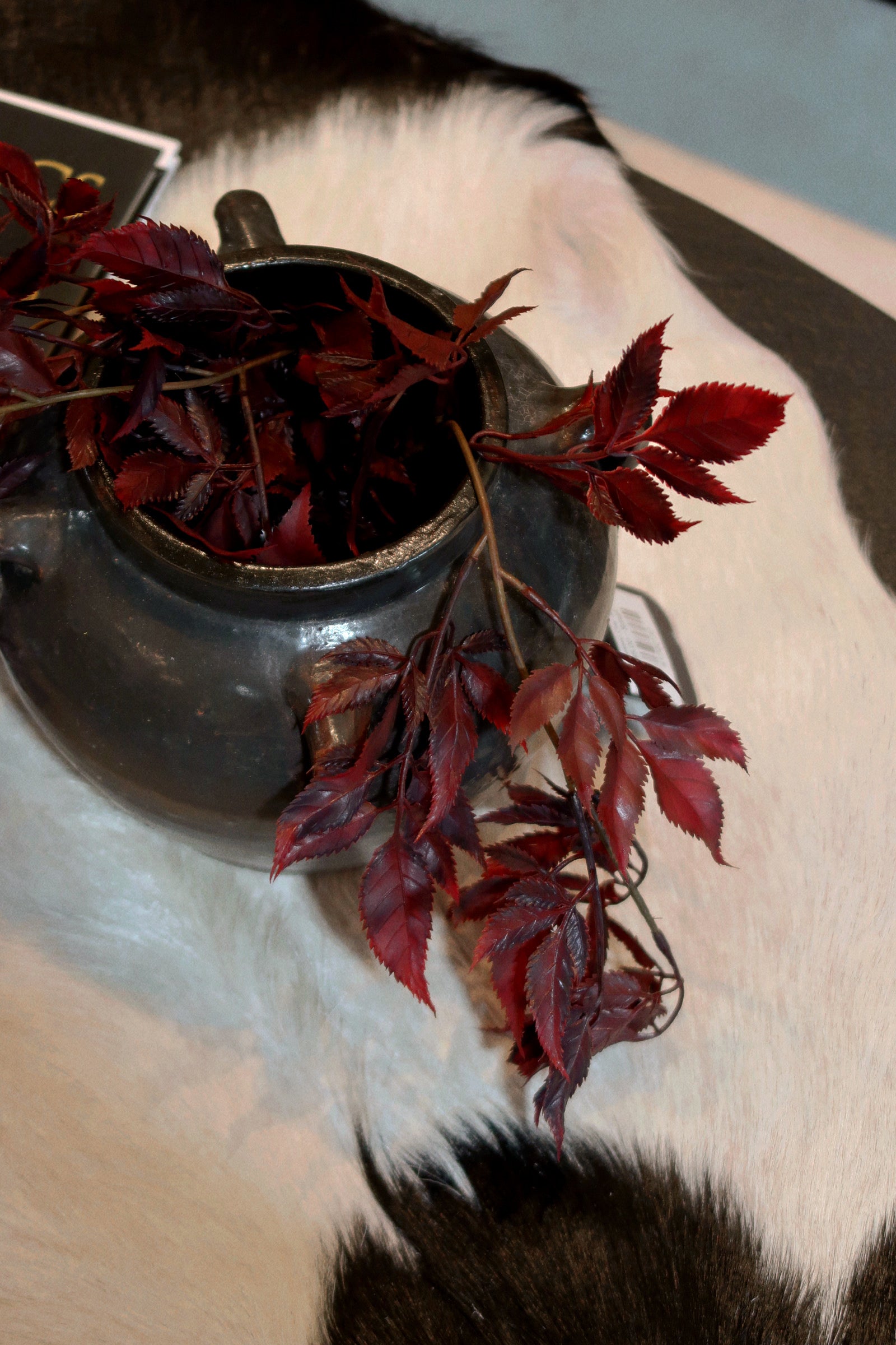 Burgundy Spikenard Hanging Bush Spray