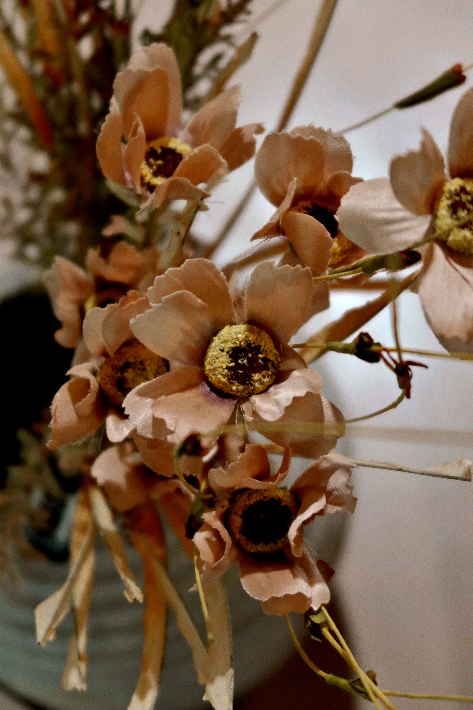 Tan Cosmos Bush Stem