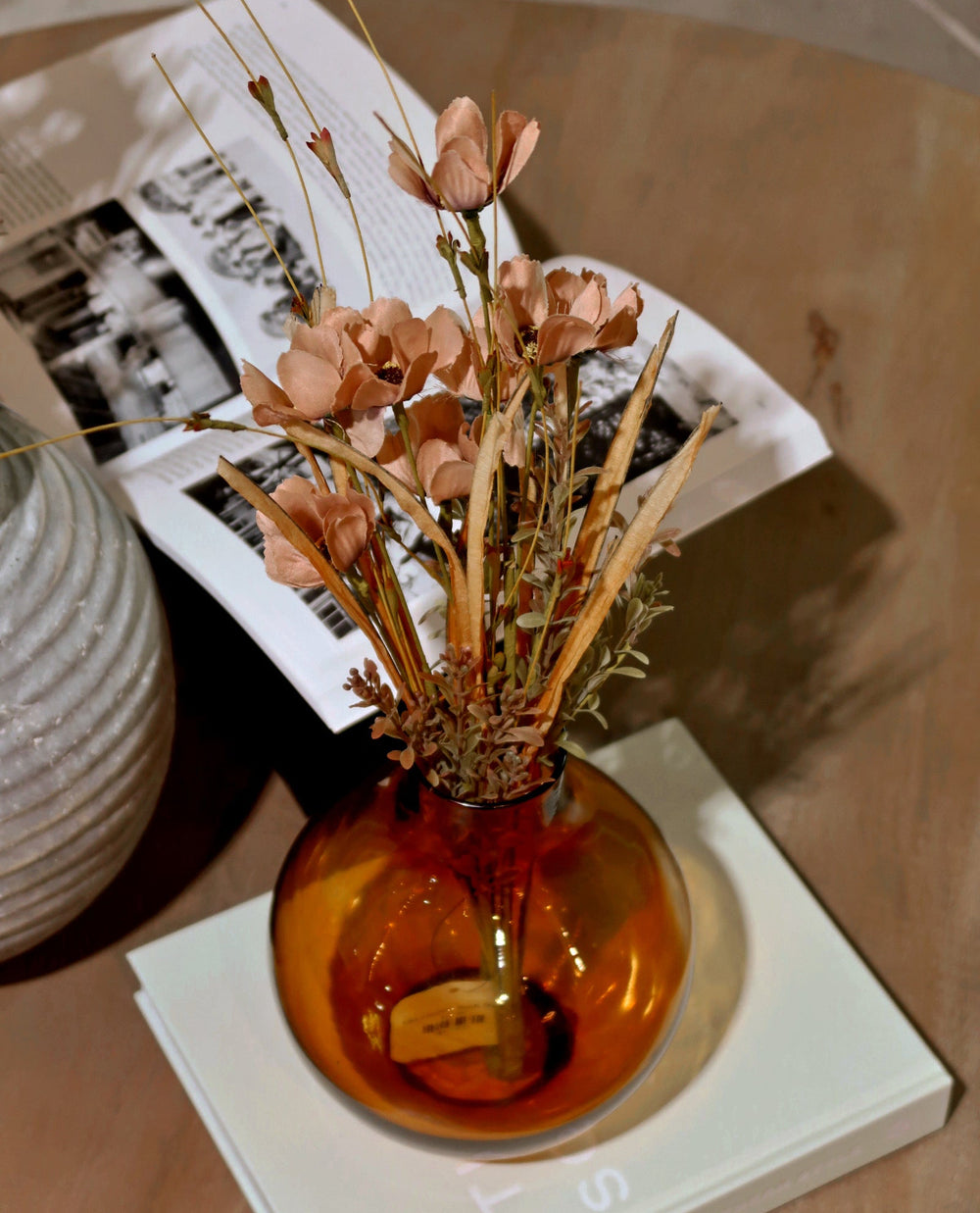 Tan Cosmos Bush Stem