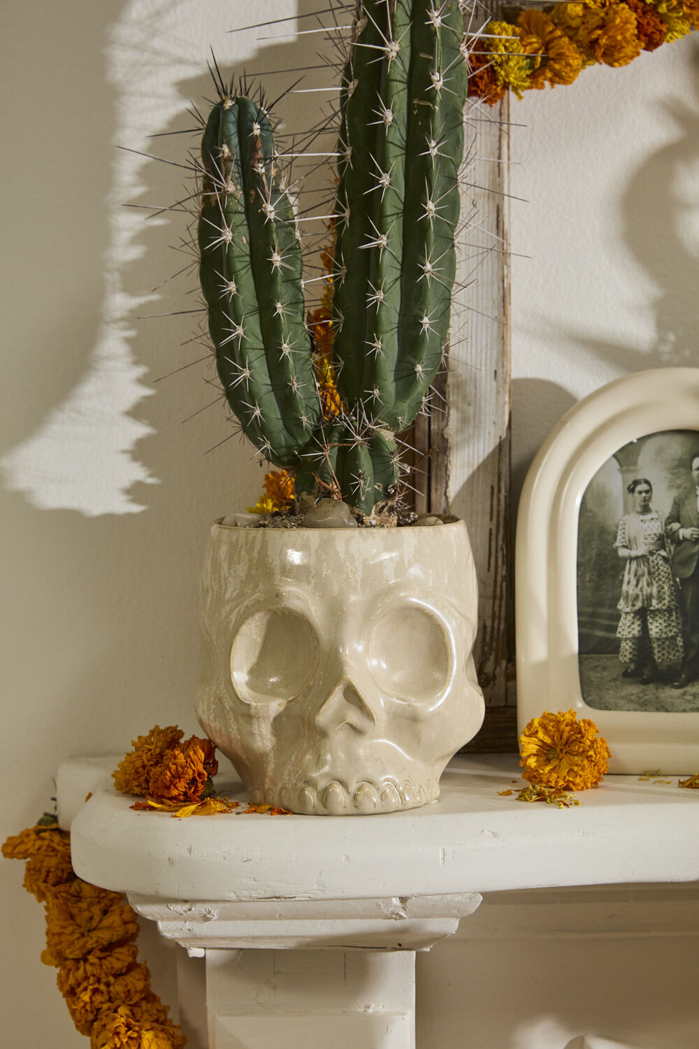 Glazed Skull Pot - 2 Sizes