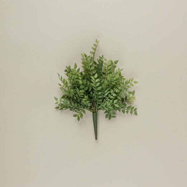 Smilax Bush
