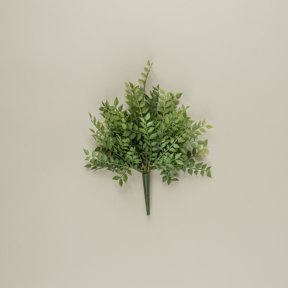 Smilax Bush