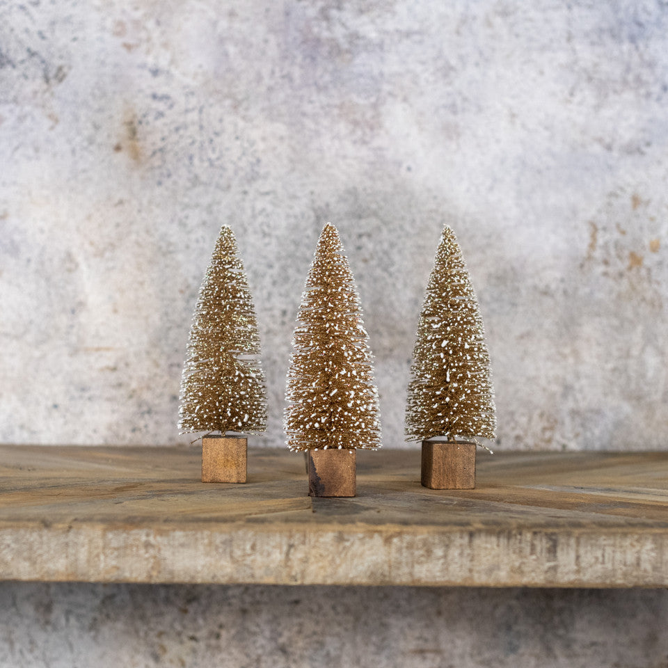 Gold Bottlebrush Trees - 2 Sizes