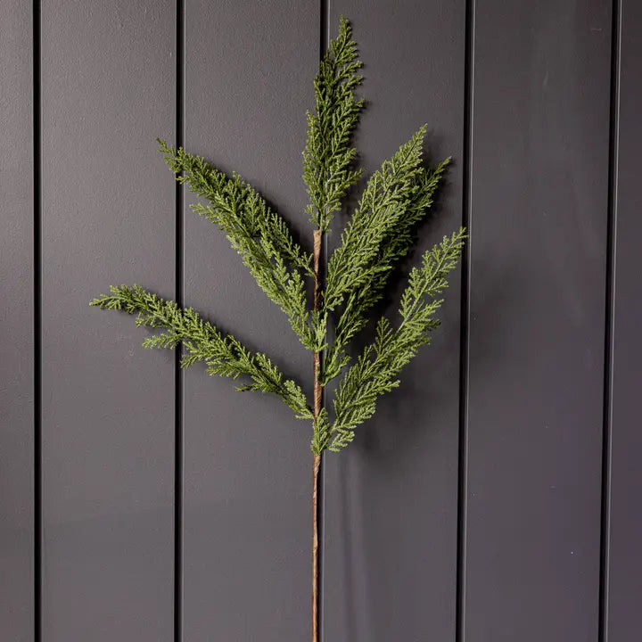 Faux Cypress Pine Stems - 3 Sizes