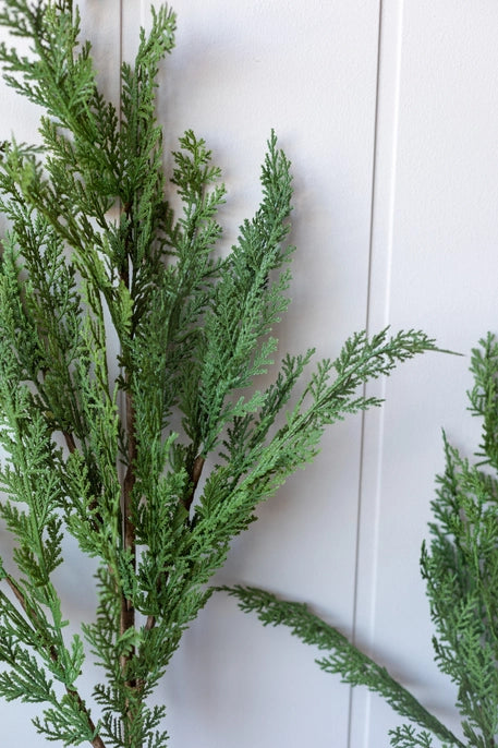 Faux Cypress Pine Stems - 3 Sizes