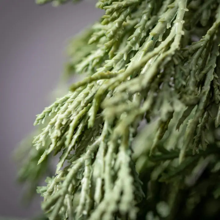 Faux Dwarf Cedar Stems-2 Styles