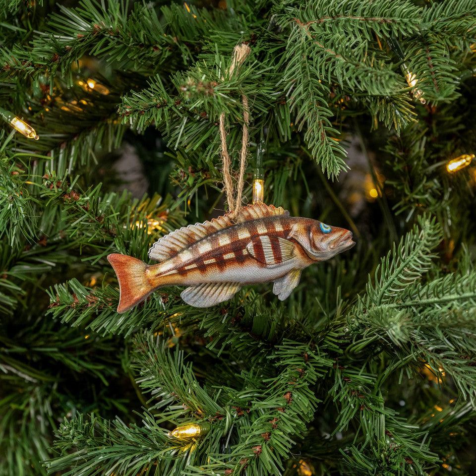 Double-Sided Fish Ornament - 3 Styles