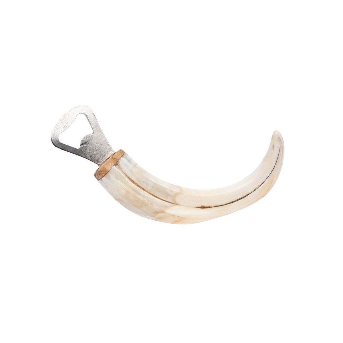 Warthog Tusk Bottle Opener