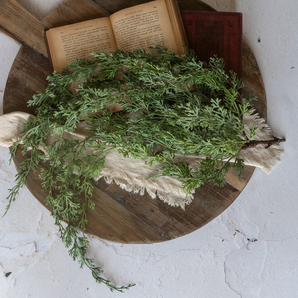 Hanging Weeping Cedar Bush